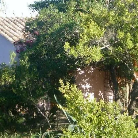 Morosi Apartment