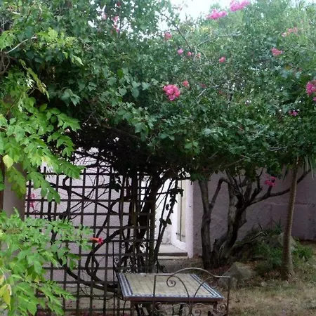 Morosi Apartman Conca